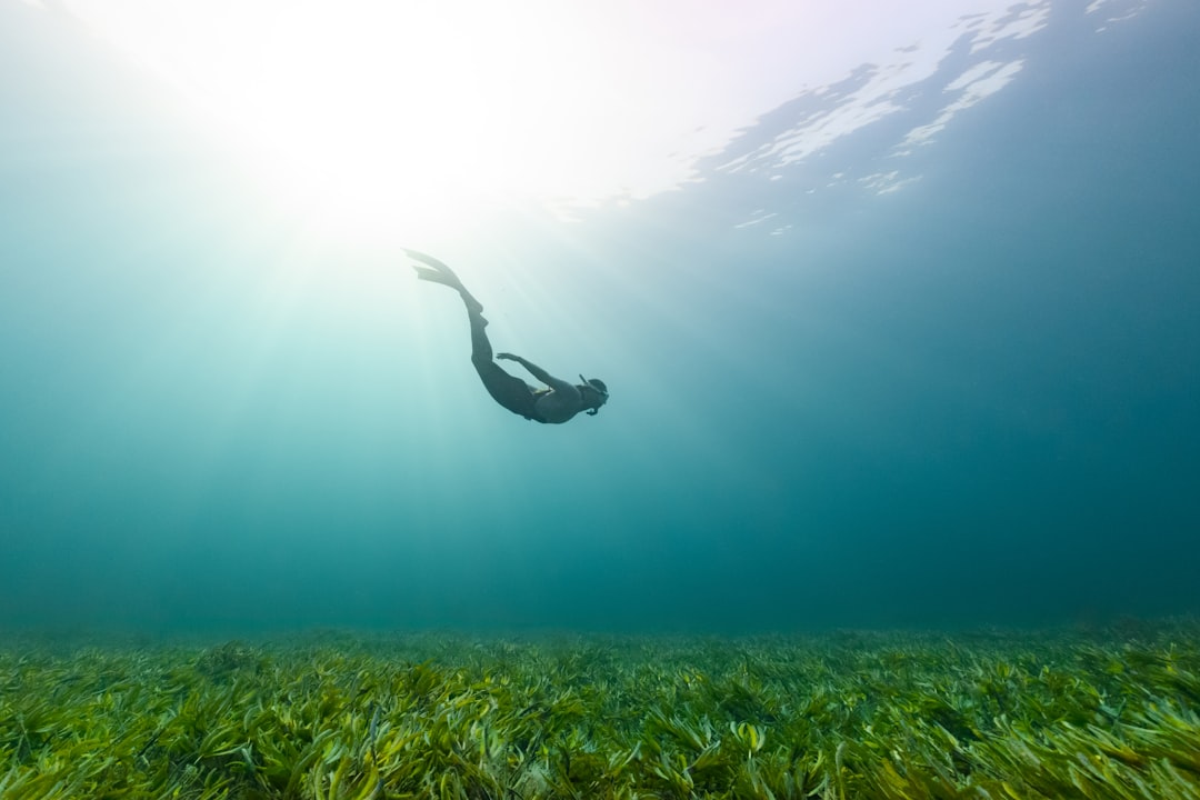 Mastering the Waves: Freestyle vs. Breaststroke Techniques